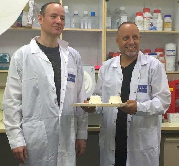 Az Imagindairy élesztőből készült tejet gyárt – Fotó: Tel-avivi egyetem