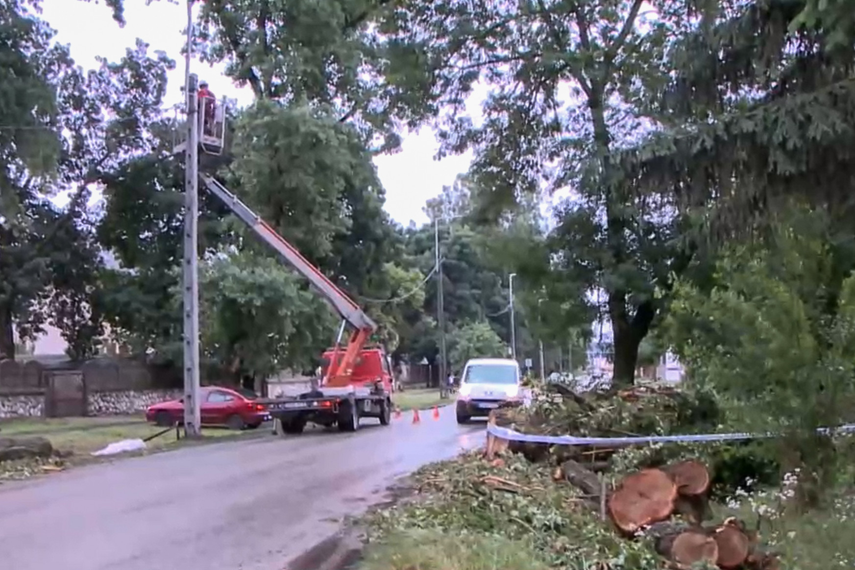 Egy elkorhadt fa dőlt a kocsira Dombóváron, négyen meghaltak, mégsem találtak felelőst