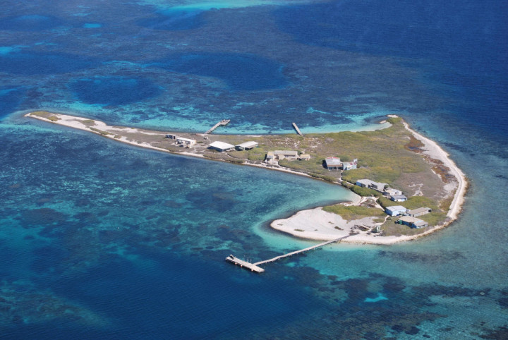 Beacon Island – Fotó: Wikipedia / Guy de la Bedoyere