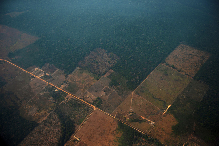 Légi felvétel kiirtott erdőkről az Amazonas-medencében lévő a brazíliai Porto Velho közelében 2019. augusztus 23-án. Fotó: MTI/EPA-EFE/Joedson Alves