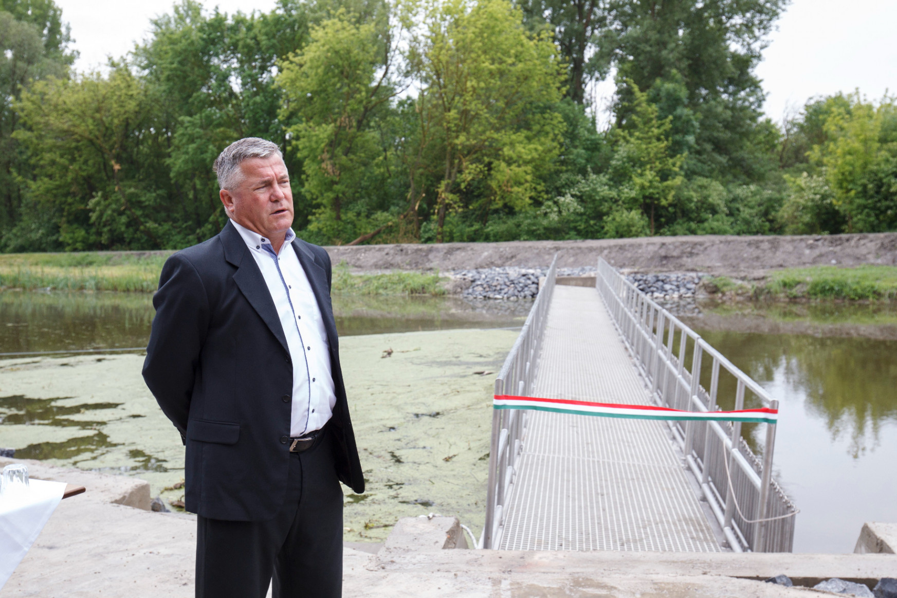 Miniszteri biztos fog vigyázni a Balaton élővilágára és vízminőségére