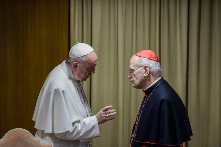 Ferenc pápa beszél Erdő Péter bíborossal egy 2015-ös vatikáni eseményen – Fotó: Fotó: ANDREAS SOLARO / AFP