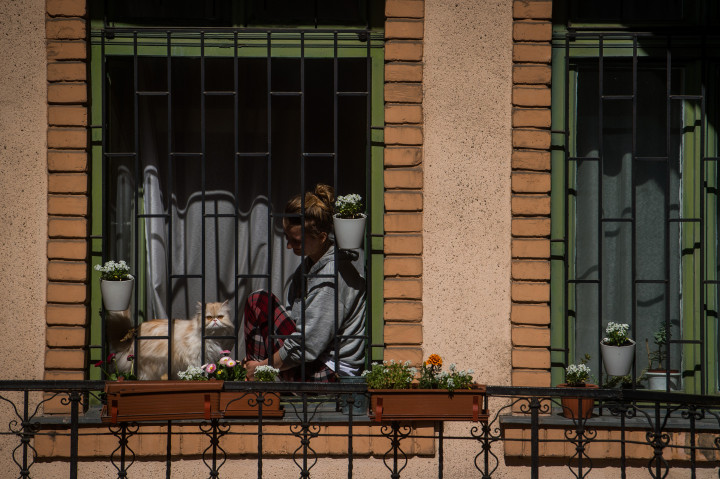 A koronavírus-járvány miatt önkéntes karanténban lévő fiatal lány és macskája budapesti otthona ablakában 2020 áprilisában – Fotó: Balogh Zoltán / MTI