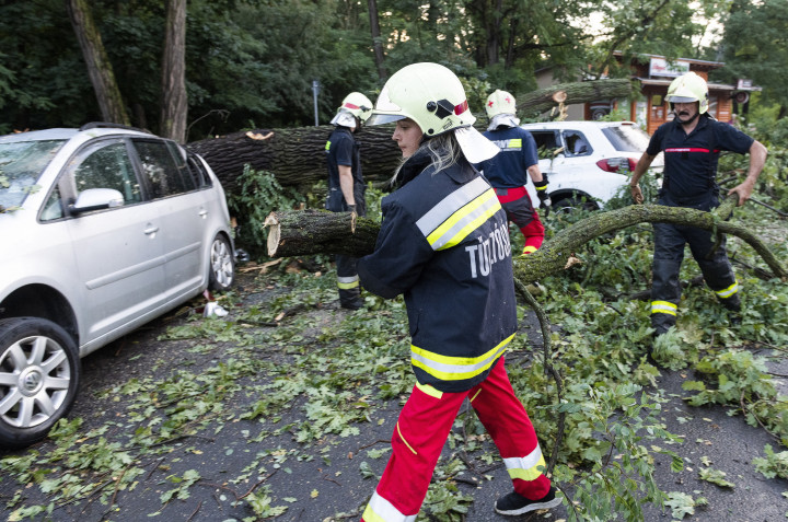 Autóra borult fákat távolítanak el vihar után Nyíregyházán, a Sóstói úton 2021. augusztus 1-jén – Fotó: MTI/Balázs Attila