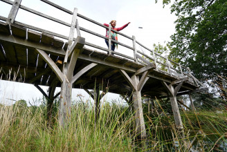 Elárverezik a Micimackó-történetek ikonikus hídját
