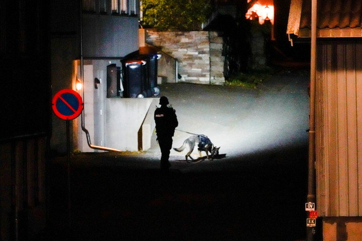 Kutyás nyomozó Kongsbergen, a nyílvesszős támadás helyszínének közelében 2021. okbóter 13-án – Fotó: Hakon Mosvold / Reuters