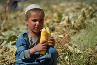 Gyerekek millióit fenyegeti éhínség Afganisztánban az ENSZ szerint