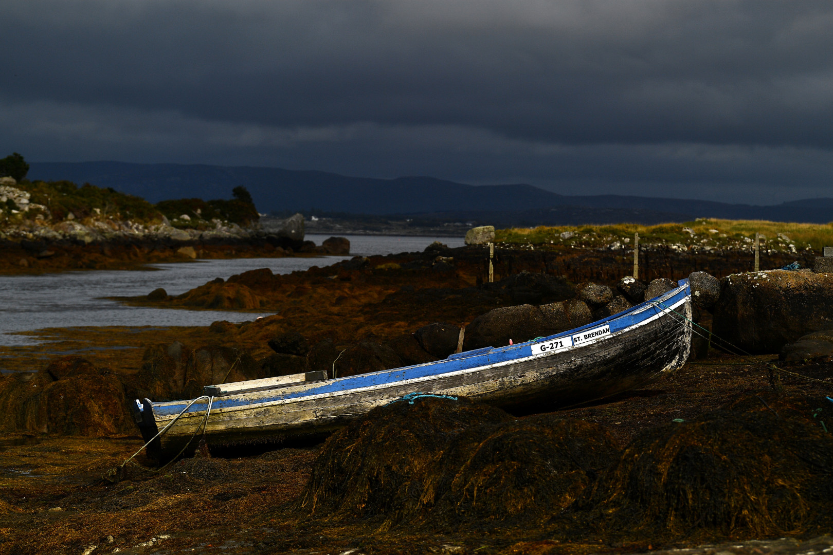 Hagyományos currach csónak algakötegek mellett – Fotó: Clodagh Kilcoyne / Reuters