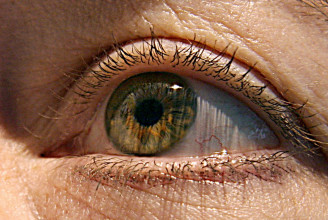 A szem nemcsak a lélek, hanem a halálos betegségek tükre is lehet